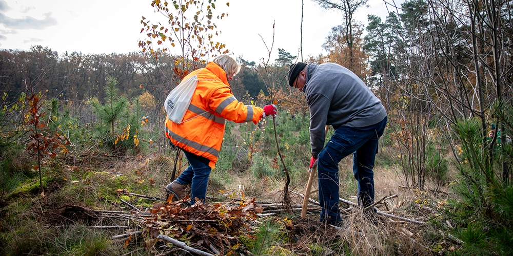 Sonae Arauco plants over 1,400 trees and strengthens its sustainability commitment