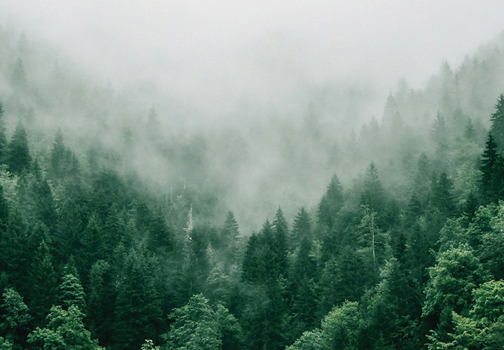 Marita Kavelashvili Ugnrxk1129g Unsplash CMYK